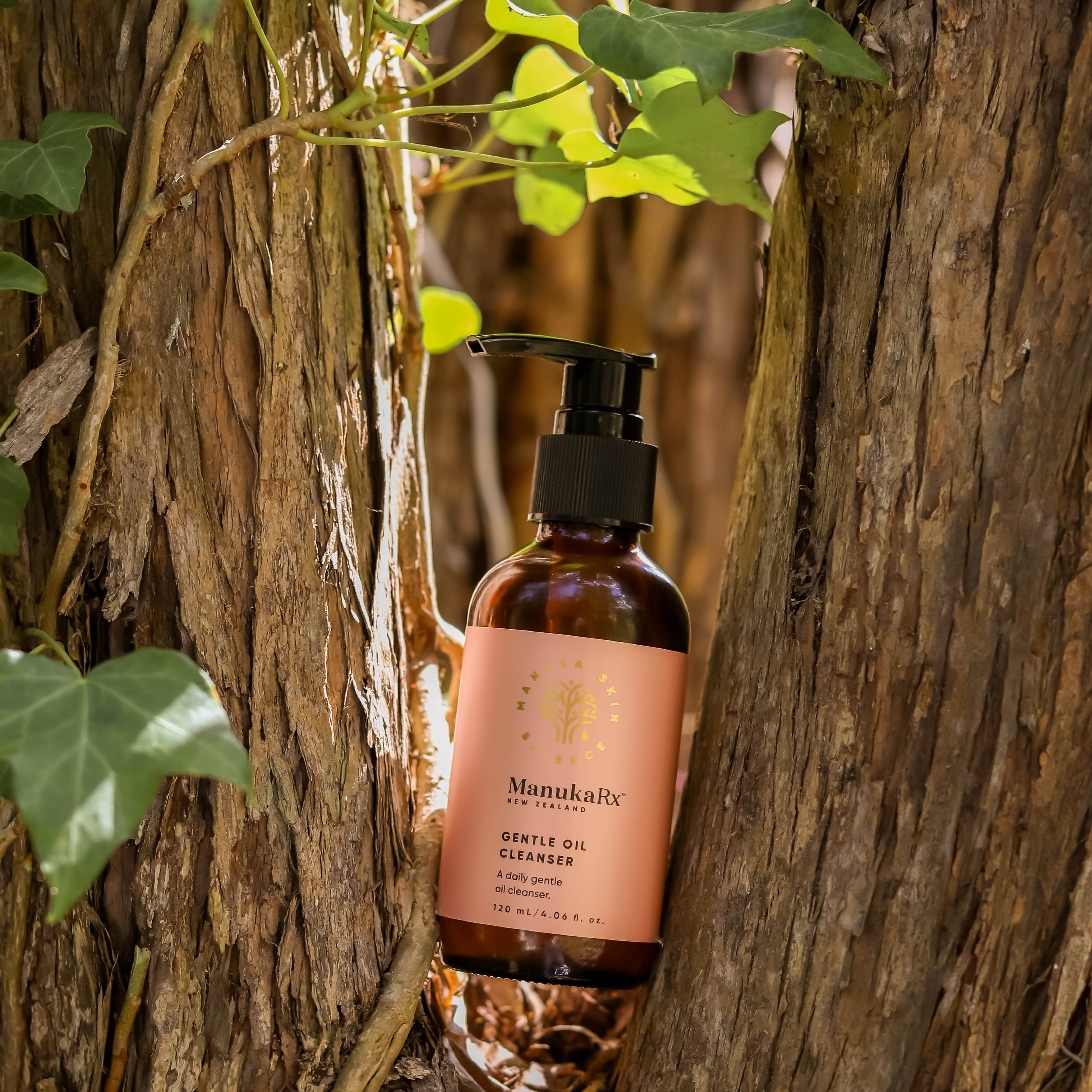 Gentle Oil Cleanser